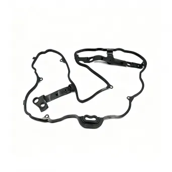 Automotive Oil Seal Review: NBR vs Silicone Rubber Performance