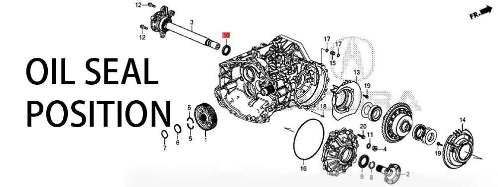 TCY 91214-58H-A01 91206-PC8-00591206PG9711 91206PC8003 90208PG9211Honda40*58*9Shaft oil seal OIL SEAL