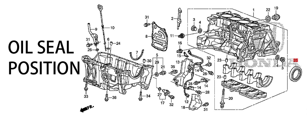 91214P8AA01 91214PH7003 91214PH70030 91214PH7004 91214PH7013 91214PL2003 91214PNA01480*98*10 Shaft oil seal OIL SEAL