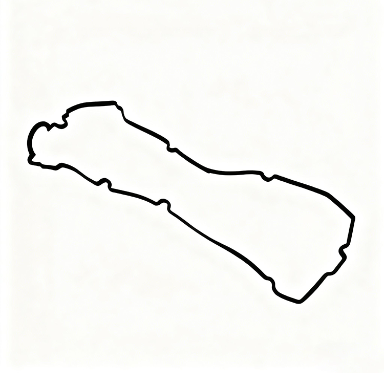 6000605051 1035A108 Fiat/Mitsubishi Valve cover gasket OIL SEAL