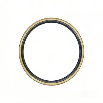 How to Choose Automotive Oil Seals for Electric Vehicle Drive Units