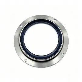 BZ5409 BZ5409E0 ME093335 Mitsubishi 132*171.5*13.5*22 Rear crankshaft oil seal NBR/FKM/ACM OIL SEAL